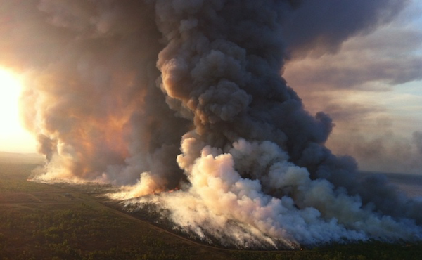 Gamba grass fire on Camp Creek station in October (courtesy of Bushfires NT)